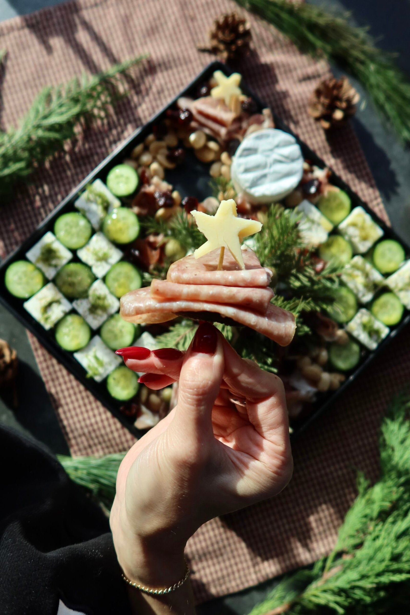 Christmas Charcuterie Board How To (Boursin Tree and Salami Trees)
