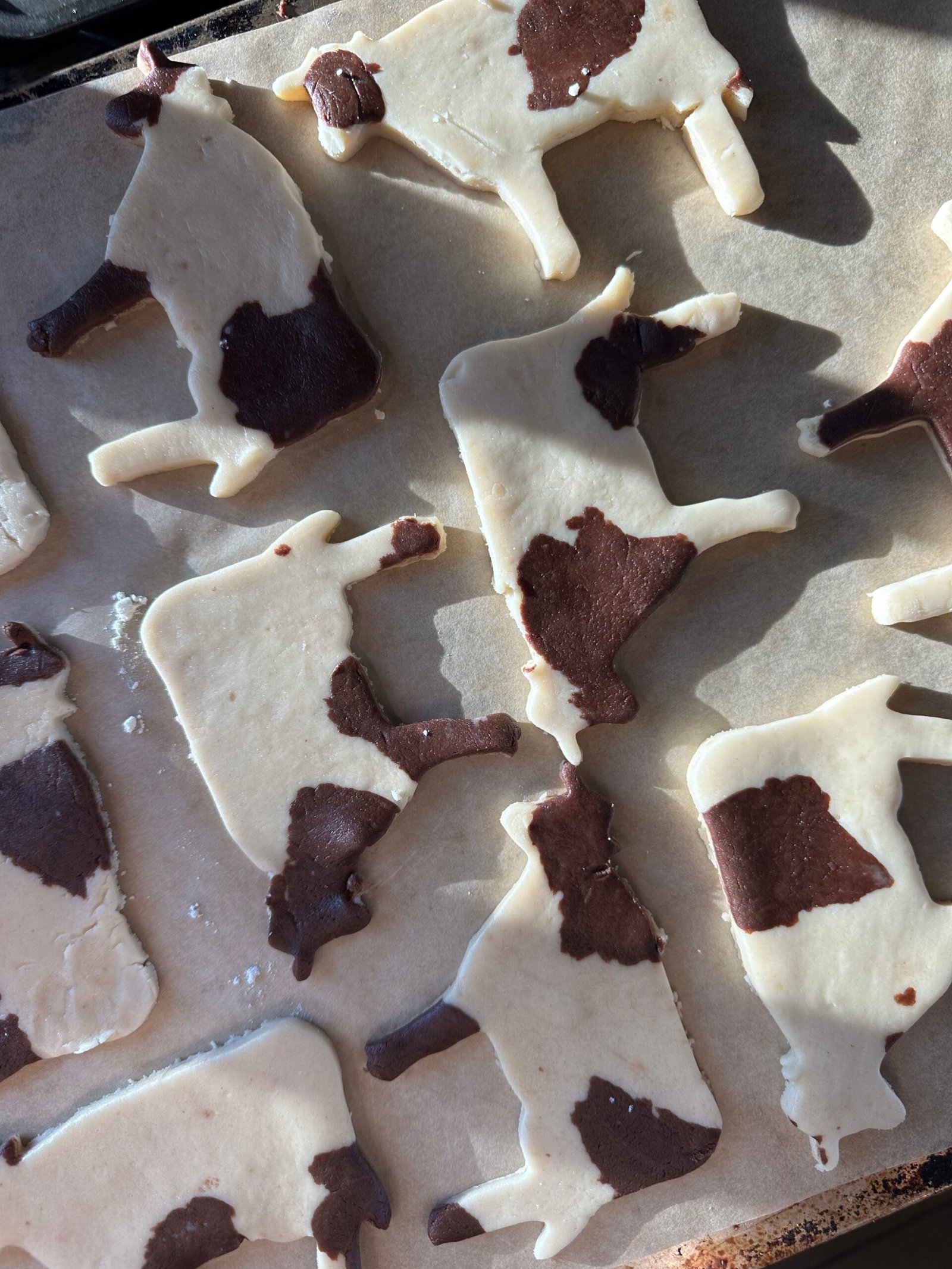 Christmas cow cookies with marbled cow spots green wreath collars and red sprinkles