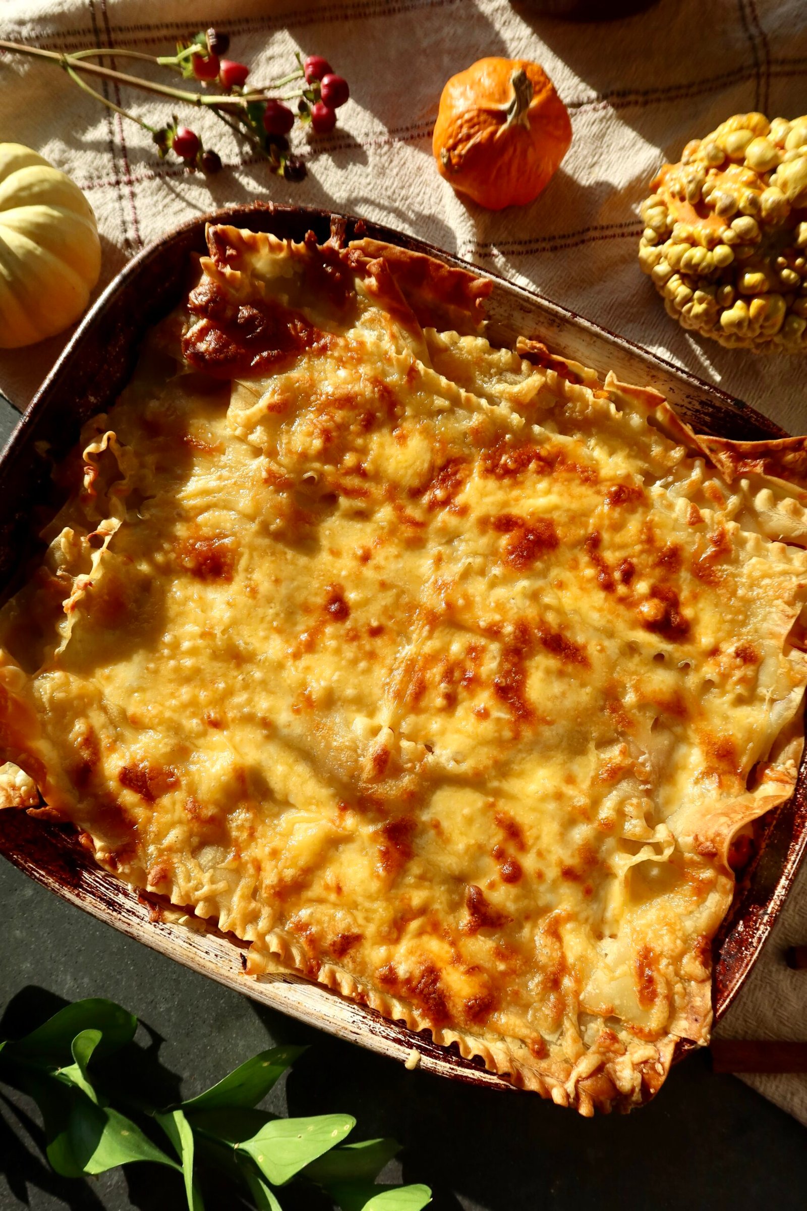 Harvest pumpkin lasagna with zucchini, mushrooms, tomato sauce, and melted cheese
